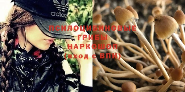 альфа пвп Баксан