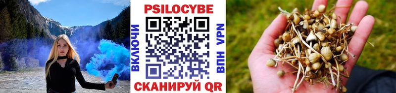 Псилоцибиновые грибы Psilocybe  нарко площадка наркотические препараты  Лермонтов  наркота 
